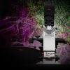 Stellaris Sted Microscope