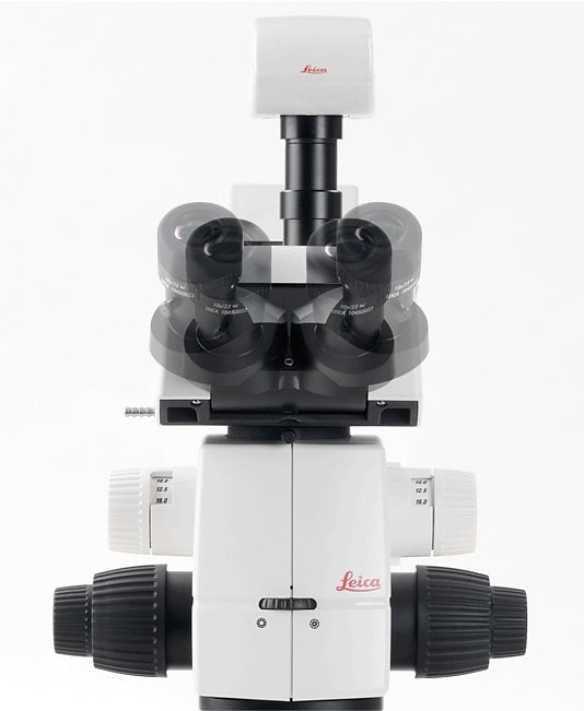 Motor Focus System For Stereomicroscopes Leica Motor Focus